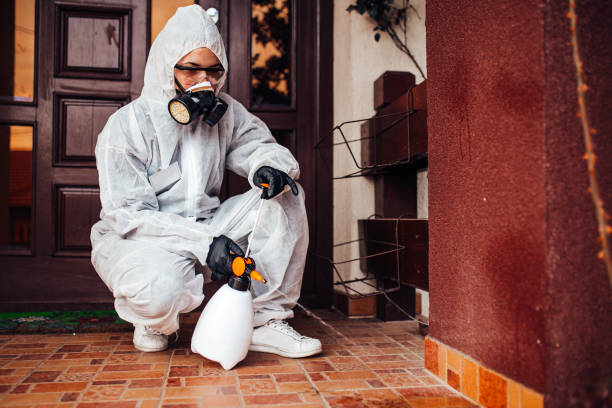 Reliable Ant Control contractor in Camden, AR by Nex Pest Control